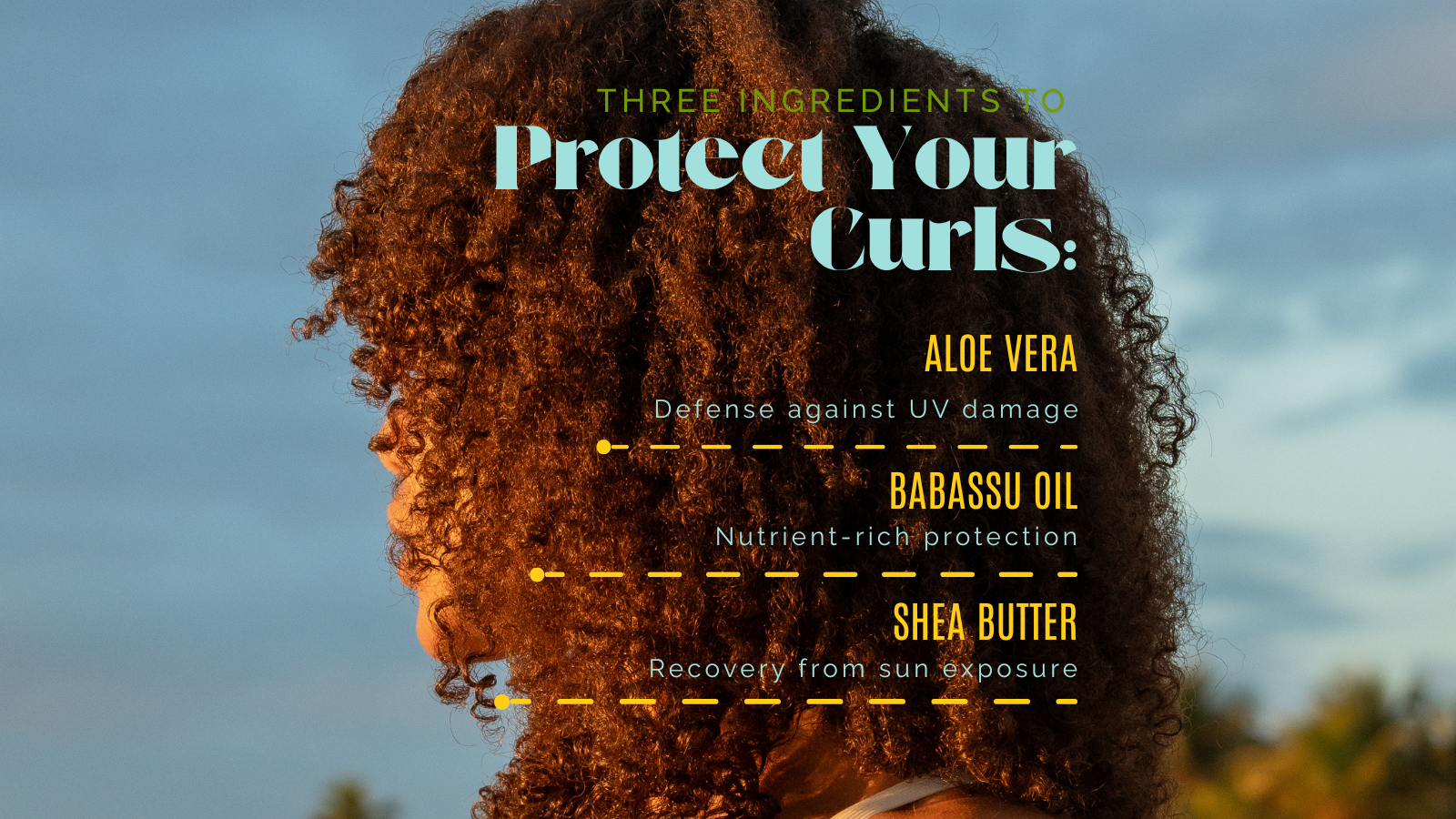 Curls, Meet Your Dream Team👯♀️: Humectants💦 and Emollients✨