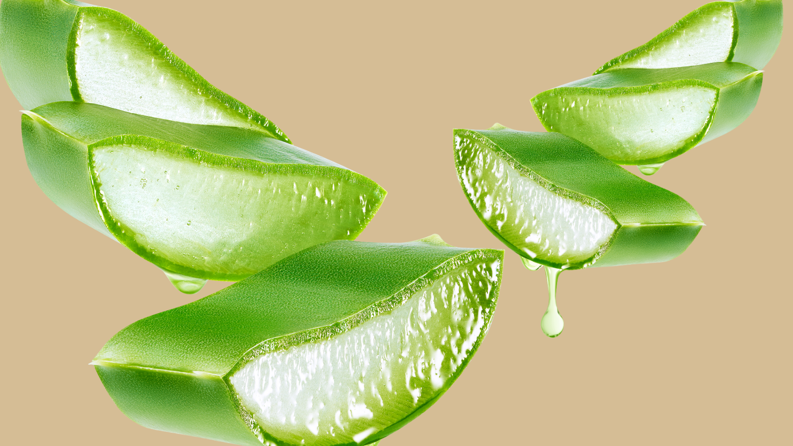 Aloe Vera: Your Hair's Sista for Life!