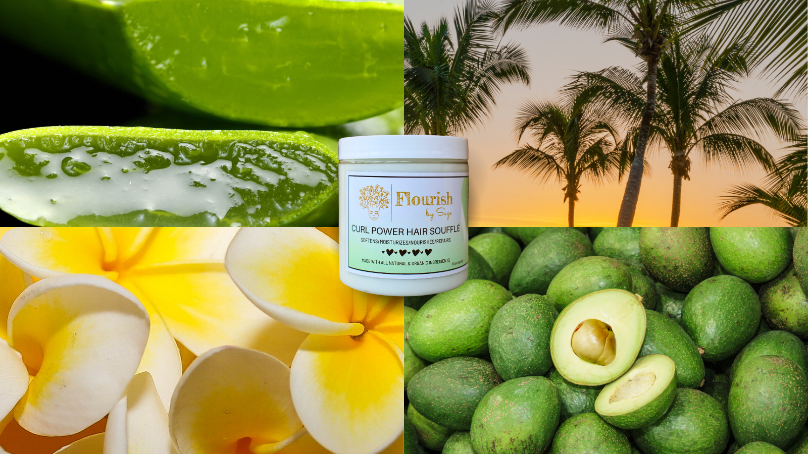 The Secret to Healthy, Hydrated Curls: Why You Need Humectants and Emollients in Your Hair Care Routine