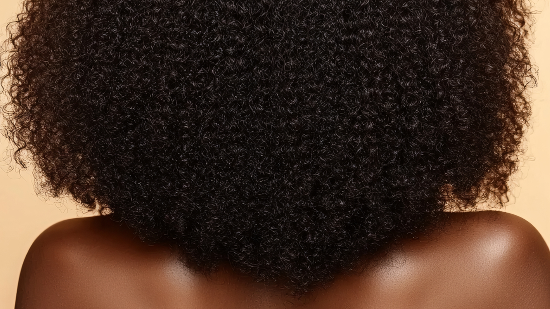 The Curly Chronicles: How to Repair and Protect Your Precious Crown