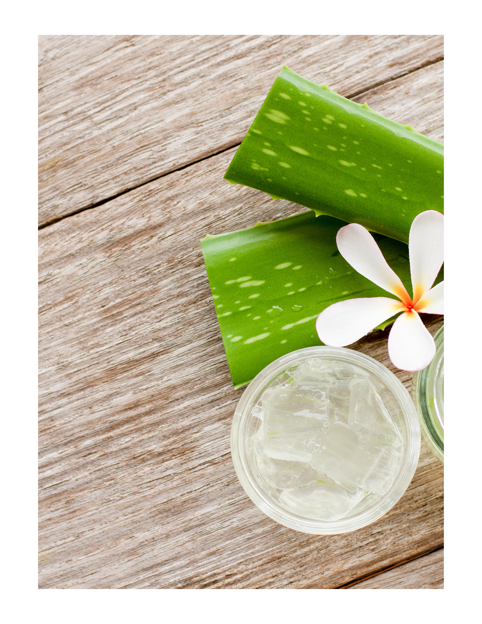 Aloe Vera: Your Hair's Sista for Life!