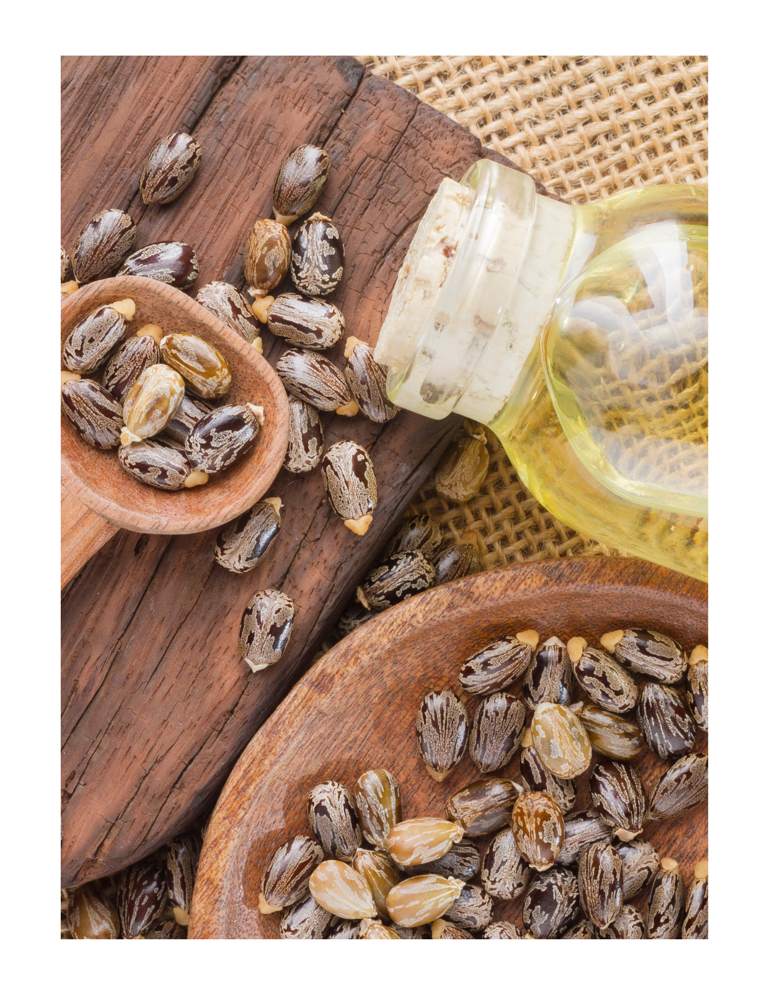 Castor Oil: The Secret Sauce for Gorgeous Curls!